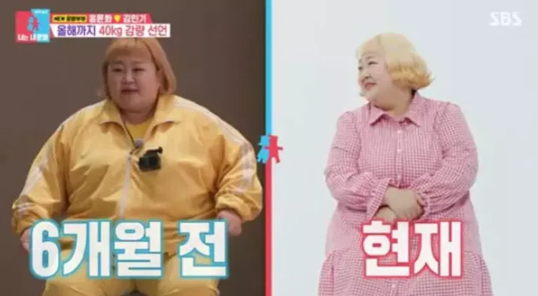 홍윤화 40kg 다이어트 함정: 요요 시작 전 증상과 올바른 감량법 2026 — 건강·의학 — banguseok_economist