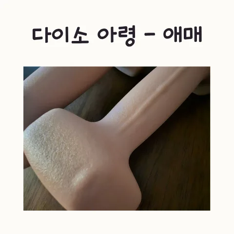 다이소 2kg 아령, 2026년에도 가성비? 마감 불량 솔직 후기 — 취미 — frostnara