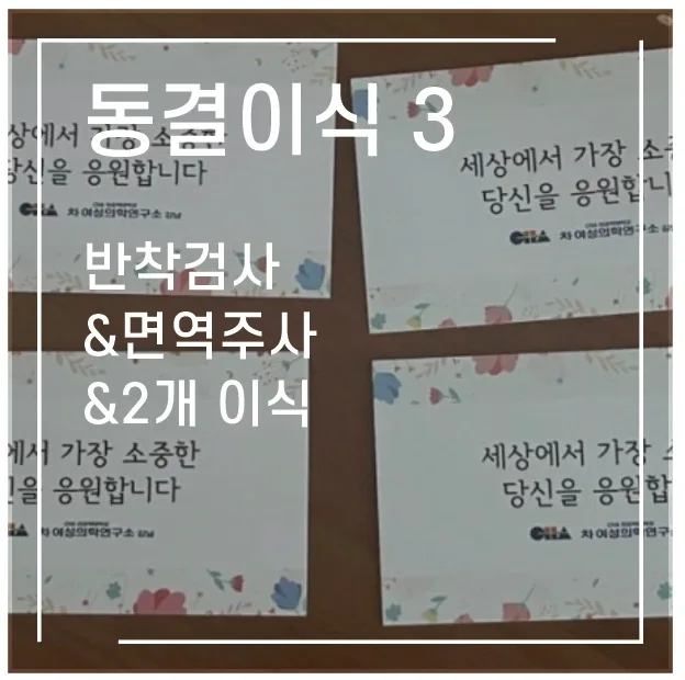 동결 3차 이식 2026: 배아 2개 이식, 반착검사 결과와 비용 총정리 — 건강·의학 — 1991kate 1
