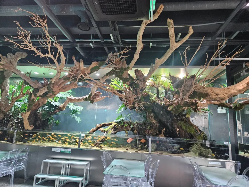 금주 1개월 후 놀라운 변화: 알코올 의존 벗어난 경험담 2026 2