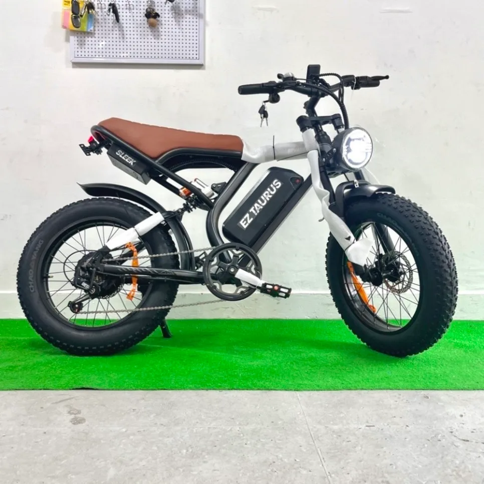 이지베이션 타우러스 BS슬릭 조립 및 성능 점검 2026 — 취미 — mosol_repairshop