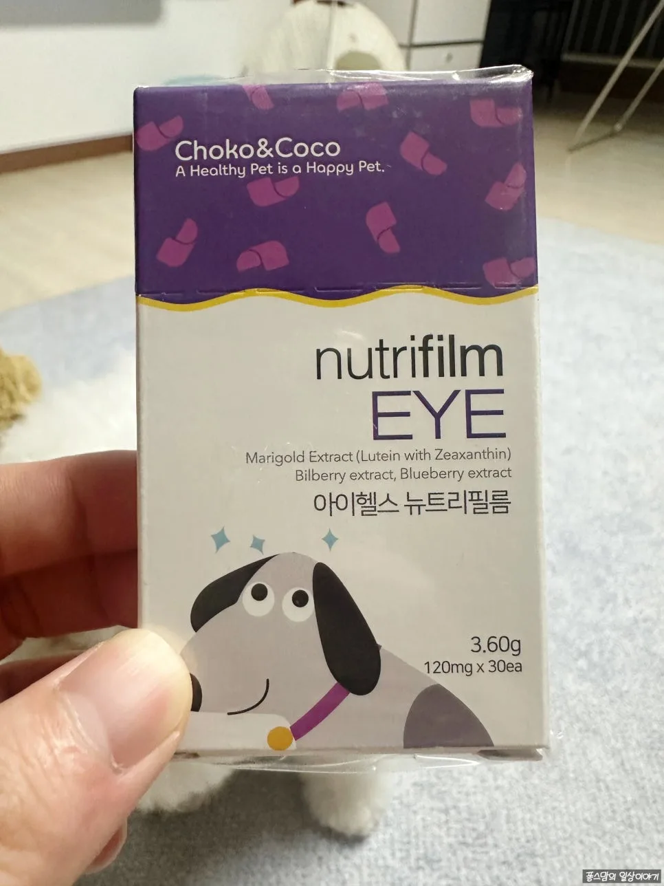 강아지 눈 영양제 아이헬스뉴트리필름 2026년 효과 분석 2