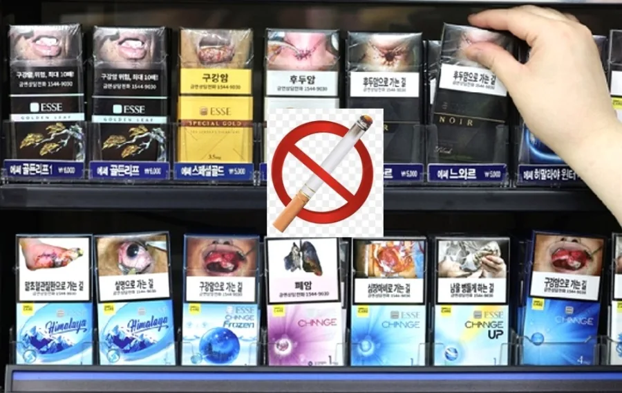 담배 소송 2심 패소, 흡연 피해 기업 책임 묻기 어렵나? 2026년 판결 분석