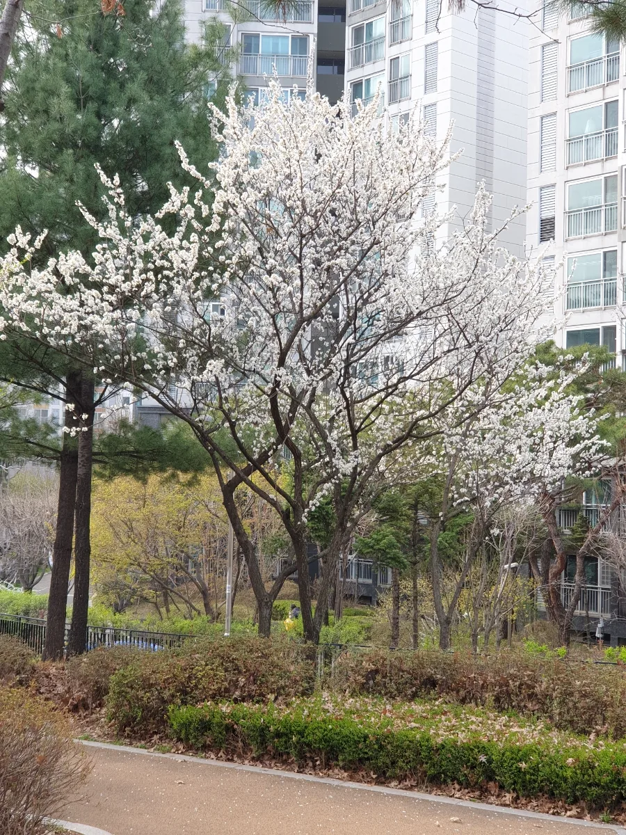 항암 치료 과정 2026: 수술 후 관리부터 재활까지 상세 안내 2