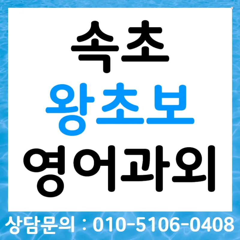 속초 왕초보 영어, 오픽/토스/비즈니스회화 2026년 완성 전략 — 어학·외국어 — tlvk0309
