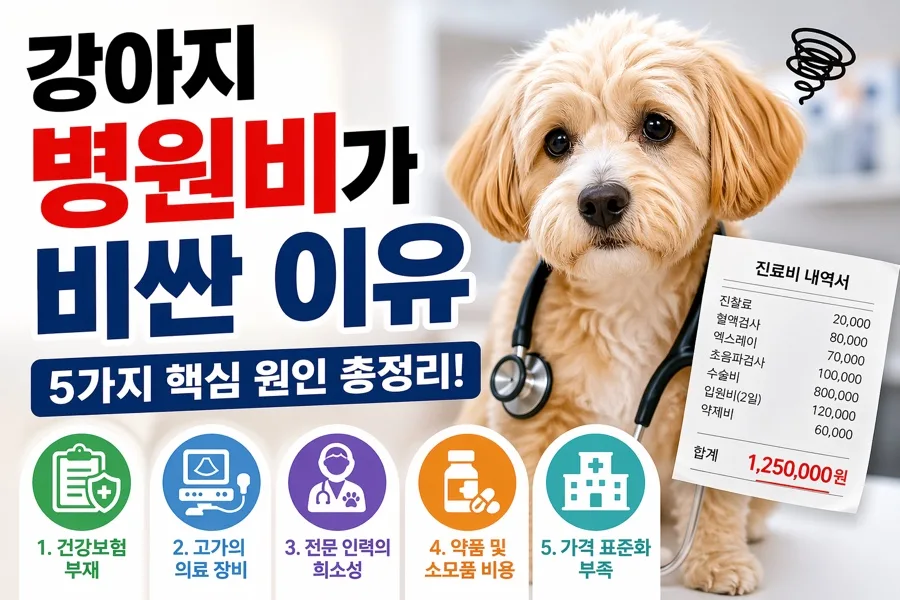 강아지 병원비, 2026년에도 비싼 이유와 펫보험 활용법