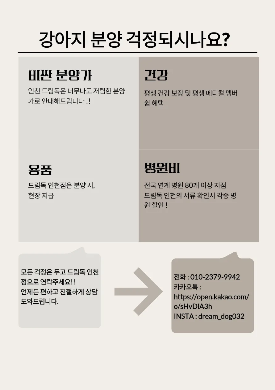 2026년 강아지 분양, 책임감 있는 보호자를 위한 필수 체크리스트