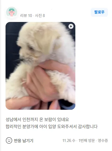 2026년 강아지 분양, 책임감 있는 보호자를 위한 필수 체크리스트 2