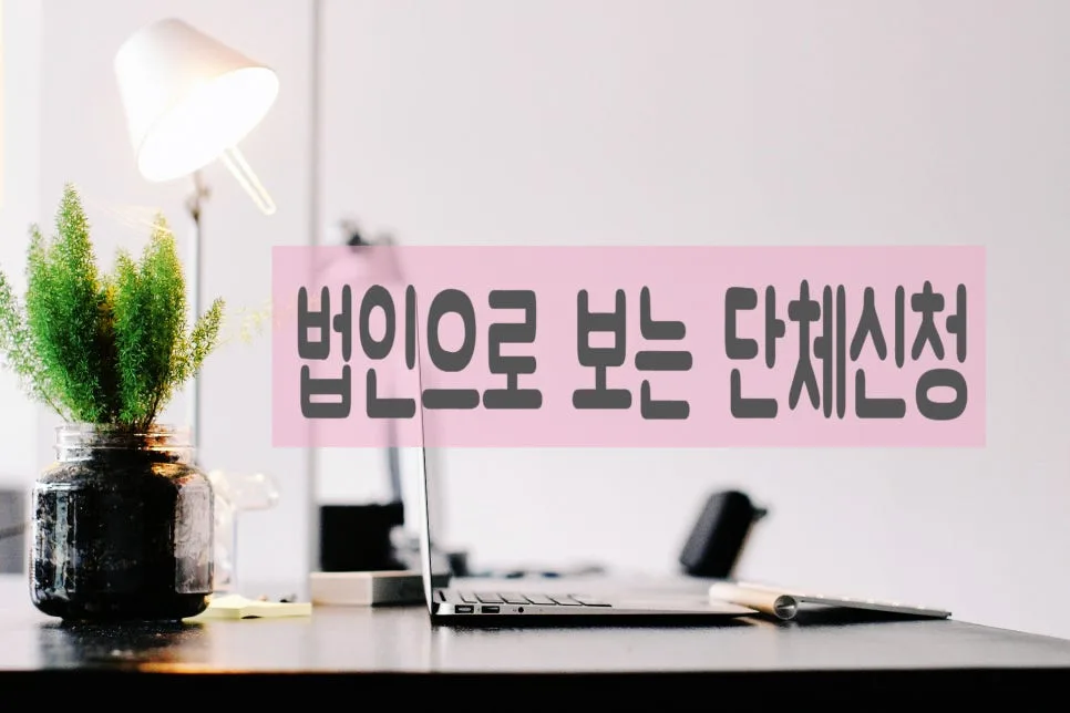 법인으로 보는 단체 신청 2026: 고유번호증 발급 절차 및 혜택 총정리