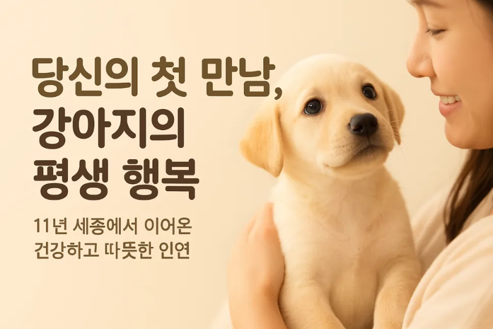 크림 포메라니안 입양 2026: 아버지와 딸의 첫눈에 반한 순간 2