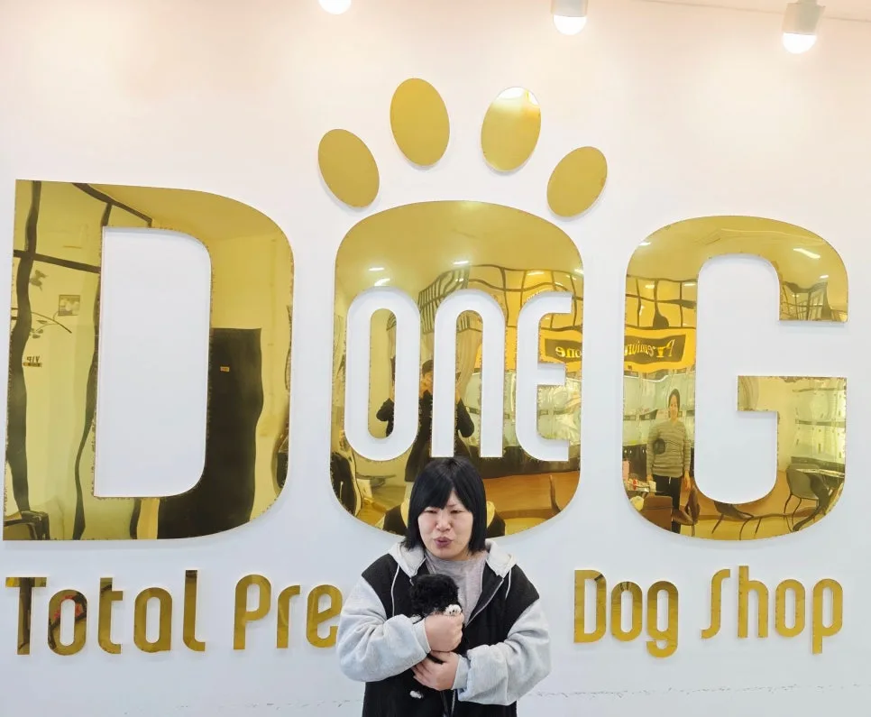 세종시 강아지 분양, 블랙 말티푸 깜순이 가족 찾은 날 2026 2