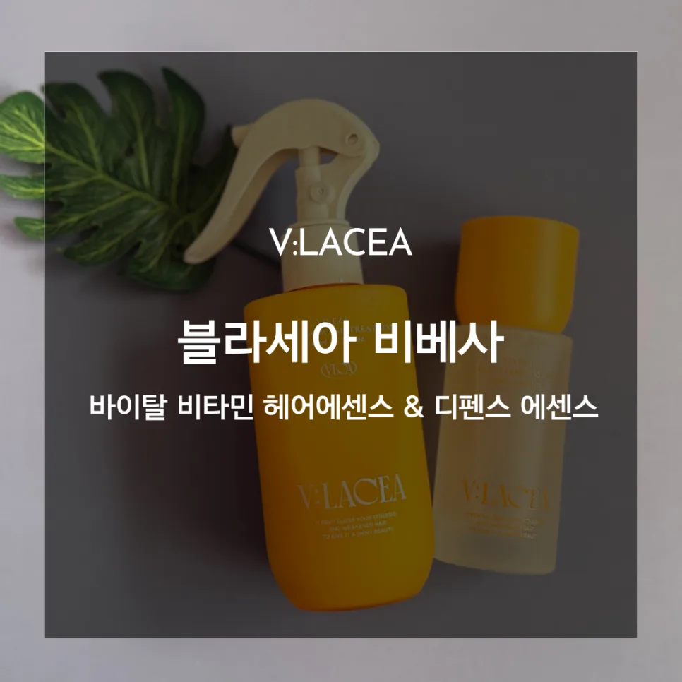 겨울철 푸석한 머릿결, 비베사 헤어 에센스로 윤기 되찾는 법 2026 — K-뷰티·패션 — catharsis486