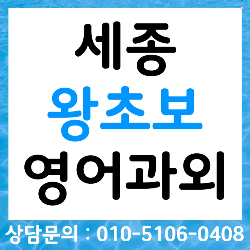 세종 왕초보 영어, 오픽/토스 목표 달성 로드맵 2026 — 어학·외국어 — tlvk0309