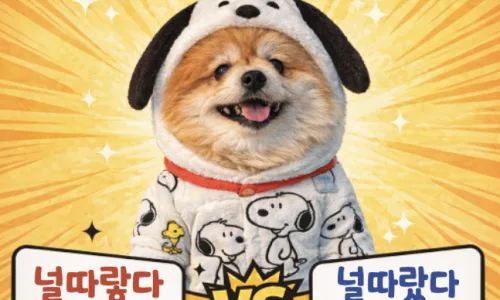분간 vs 분관: 천지분간 올바른 표현 2026년 총정리 2