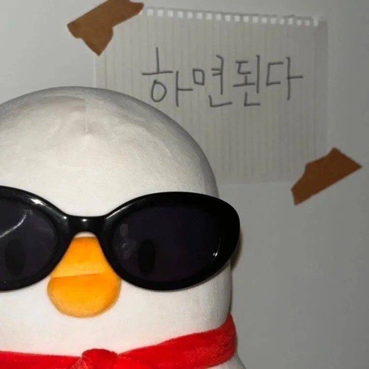 교환학생 워홀 어학연수 차이점 2026: 대학생 해외 경험 완벽 비교 2