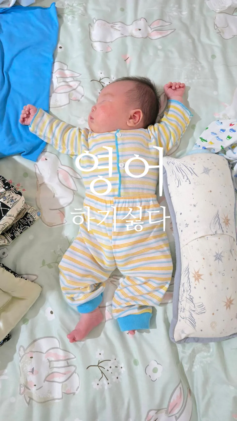 Learn Korean Fast: 5 Essential 'D' Words for 2026 3