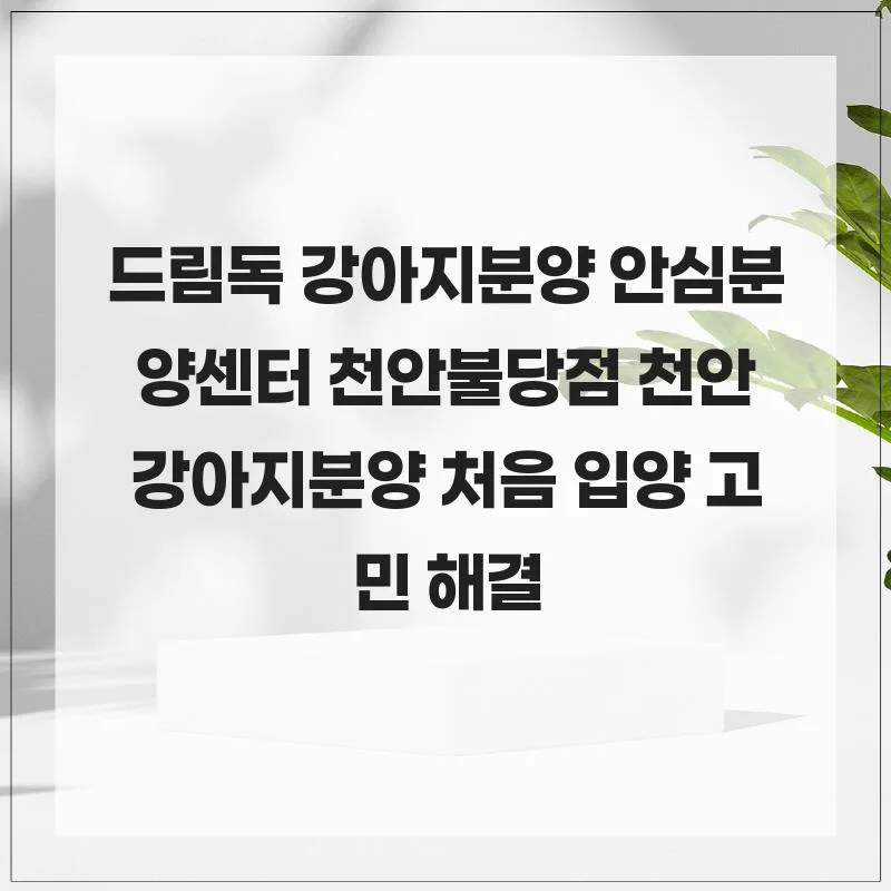 천안 강아지 분양 2026: 드림독에서 첫 입양 고민 해결
