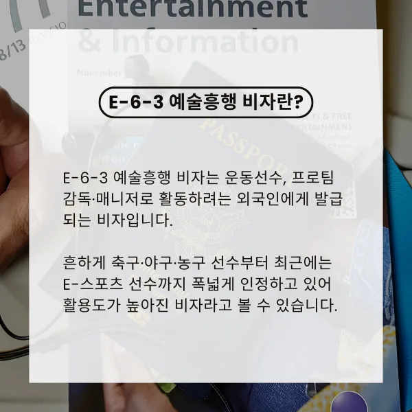 E-6 운동선수 비자 발급 조건 및 절차 완벽 가이드 2026 2