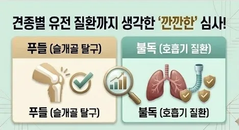 2026년 펫보험, 우리 아이 병원비 부담 줄이는 핵심 가이드 2