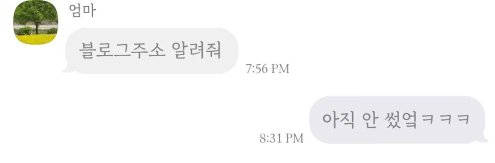 캐나다 이민 D-1, 출국 전 짐싸기부터 마지막 만찬까지 2026
