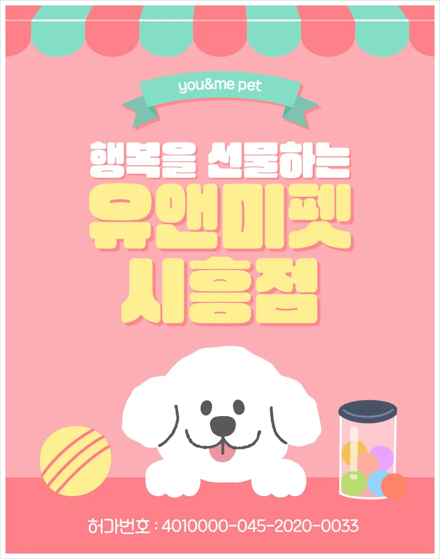 송파동 시츄 분양, 2026년 믿을 수 있는 선택 가이드