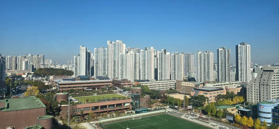 공포증 종류별 증상과 극복 방법 2026년 총정리