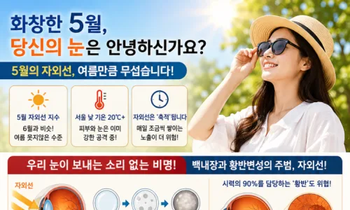 서울 아파트값 상승세 2026: 강남 제외, 용산·강북 추격 전망 2