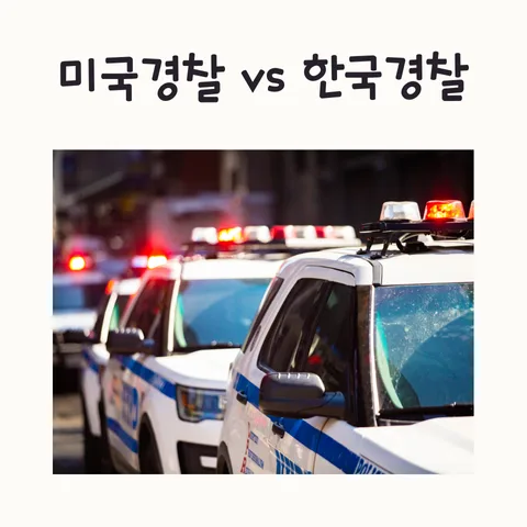 미국 vs 한국 경찰 드라마 비교: 유능함과 현실 사이 2026 — K-드라마 — frostnara