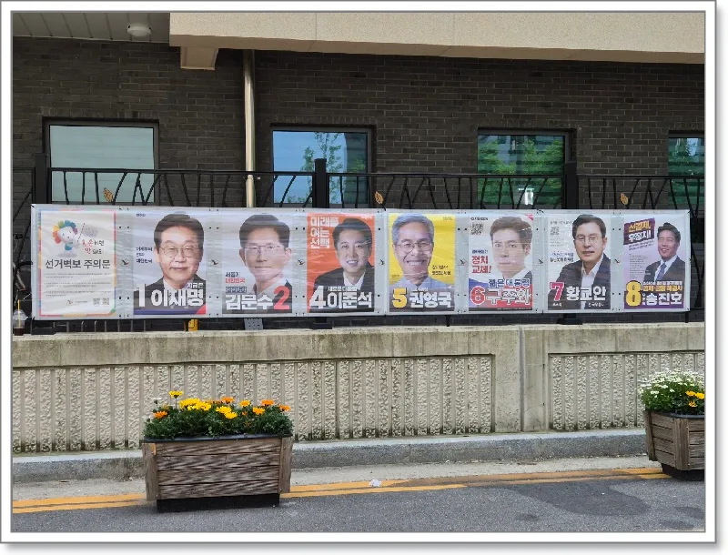 2025년 6월 3일 대통령 선거, 대한민국 변화를 위한 투표 가이드 2026 — 사회·시사 — goodnews7855 1