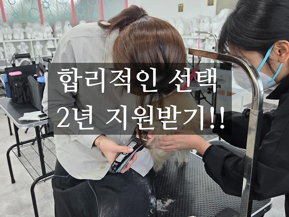 애견미용 2년 과정, 880만원이 합리적인 이유 2026년 총정리 — 교육·학문 — yeppi1207