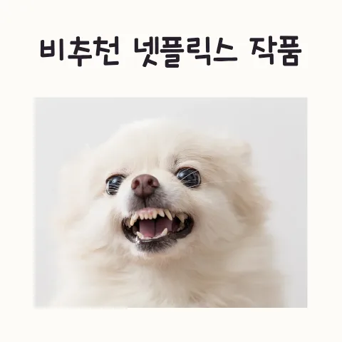 인사이드 맨 2026: 영국 드라마, 답답한 전개와 메시지 분석 — K-드라마 — frostnara