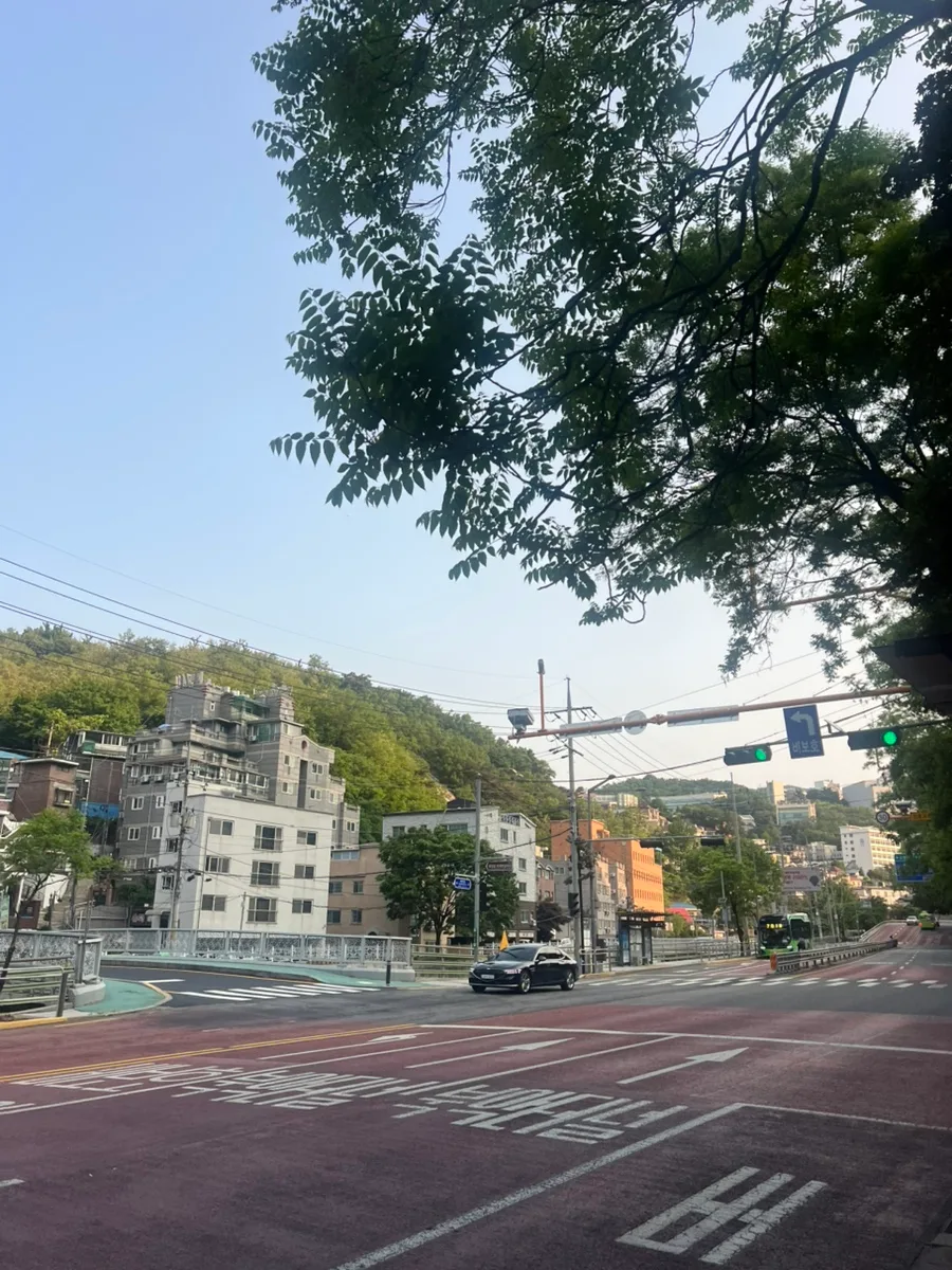 경복궁 댕댕런 완주 후기: 40대 러너들의 특별한 코스 완주 팁 2026