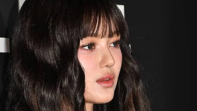 뉴진스 다니엘 431억 소송 2026년 전망: 새 변호사 선임과 컴백 가능성 — 일상·에세이 — faithlifelab