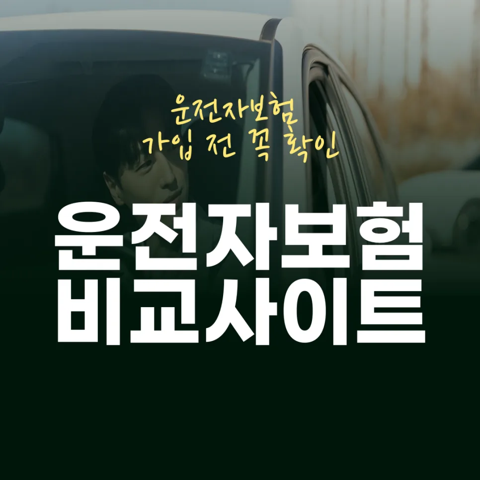 영업용 운전자보험, 2026년 현명하게 준비하는 법 (비교 필수) 2