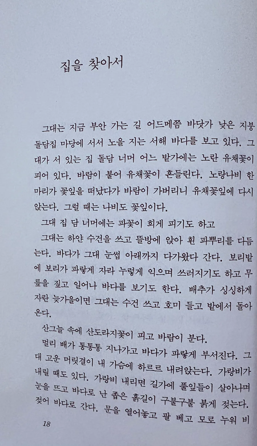 김용택 시 '집을 찾아서' 2026년 감상: 깨끗한 가난과 사랑의 의미 3