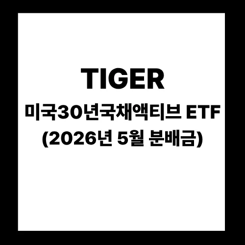 ACE 미국30년국채액티브 ETF 분배금 지급일 2026년 5월 총정리