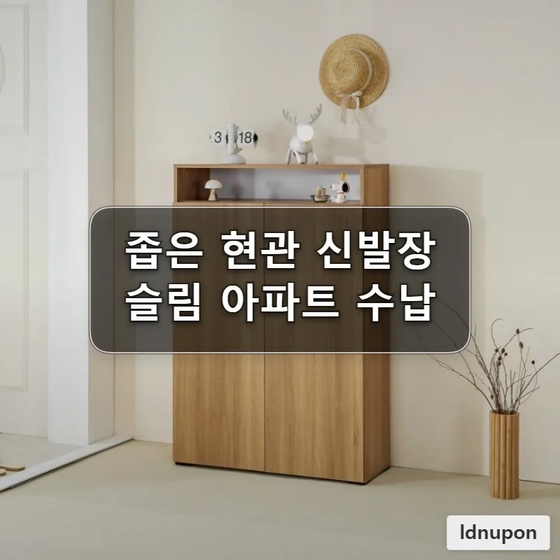 Slim Shoe Cabinets for Small Entryways 2026: Maximize Your Space 2