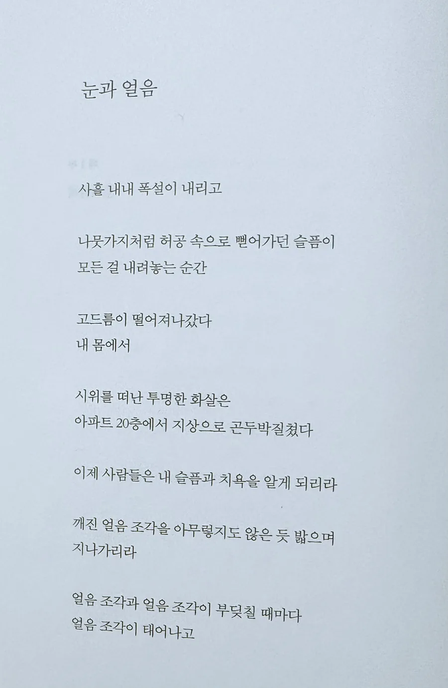나희덕 시 '눈과 얼음' 해석: 슬픔과 고독의 상징 2026 2