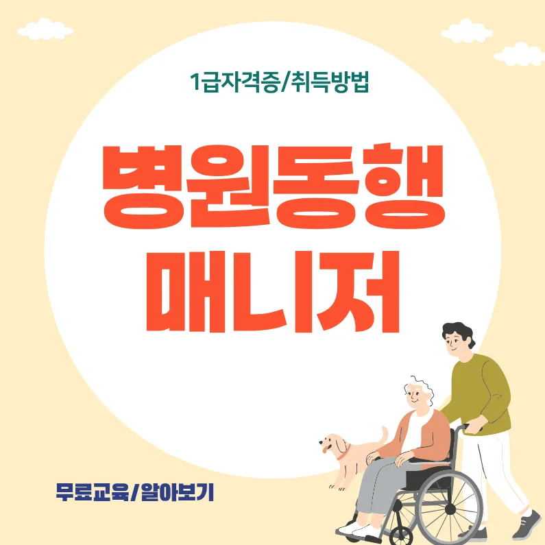 병원동행매니저 자격증 취득 후기 2026: 서비스 준비 A to Z — 건강·의학 — best_300