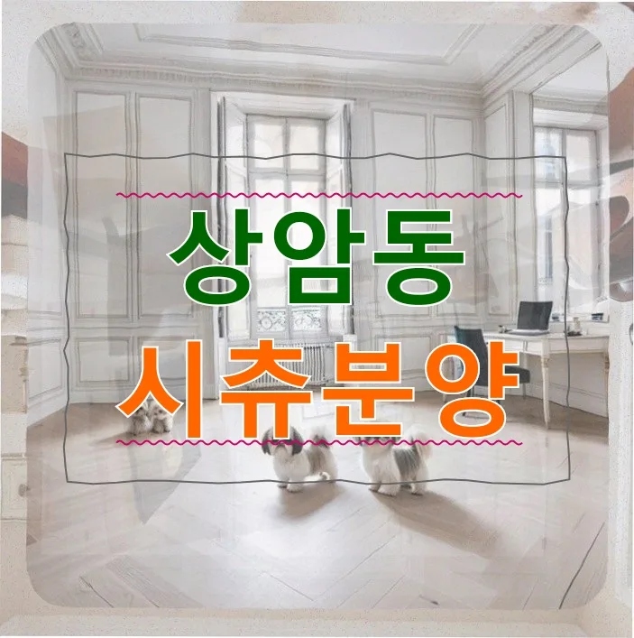상암동 시츄분양, 반려견 등록 필수! 새 가족 맞이 가이드 2026 — 반려동물 — yeon7970