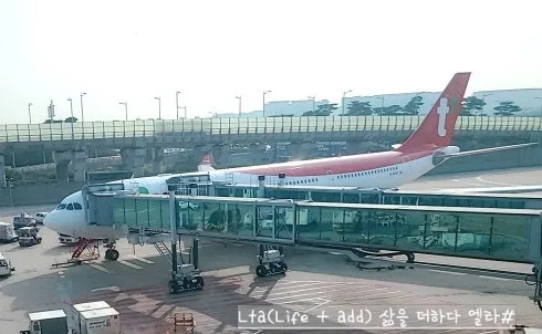 티웨이 TW403 프랑크푸르트 직항 2026년 완벽 가이드: 기내식·좌석·꿀팁 — 세계여행 — bluezzangi