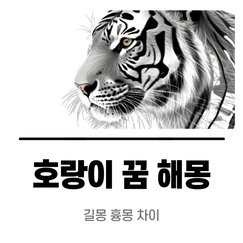 호랑이 꿈 해몽: 길몽과 흉몽, 꿈 해석 총정리 2026 — 일상·에세이 — kteacher52