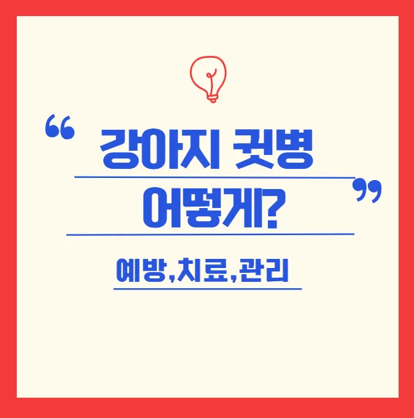 강아지 귓병 원인과 귀세척 완벽 가이드 2026