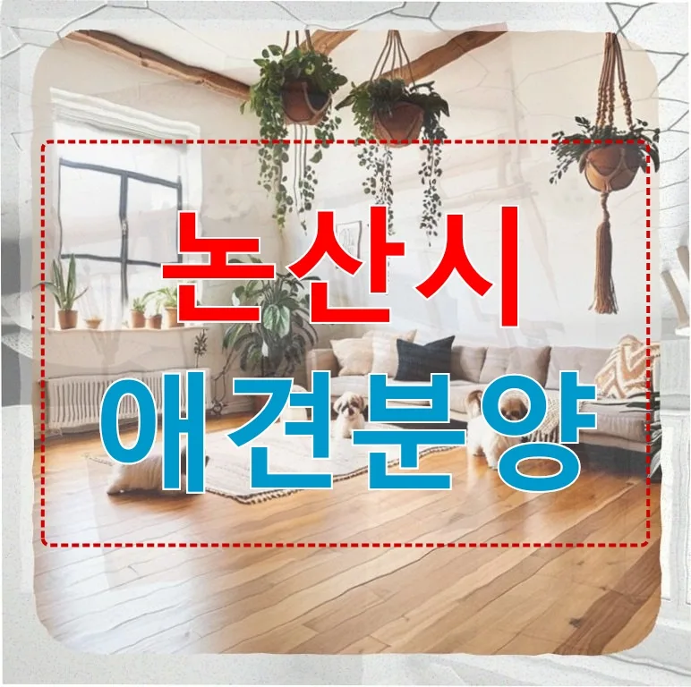 20대 후반 직장인, 논산 애견분양 말티즈 입양 후기 2026