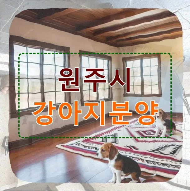 원주시 강아지 분양 2026: 믿을 수 있는 곳 찾는 3가지 핵심 기준 — 반려동물 — believe7786