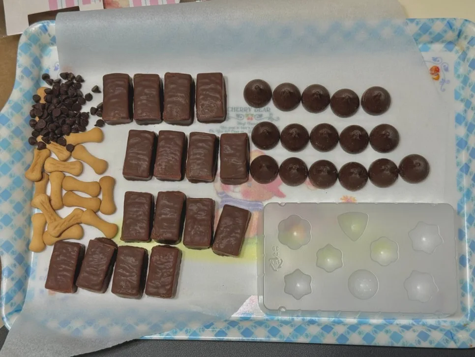 닥스훈트 초콜릿 만들기 2026: 발렌타인데이 선물 DIY 가이드 3