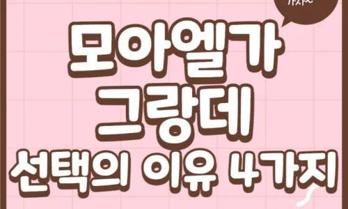 검단 모아엘가 그랑데 2026년 시세 전망 및 핵심 매물 분석 3