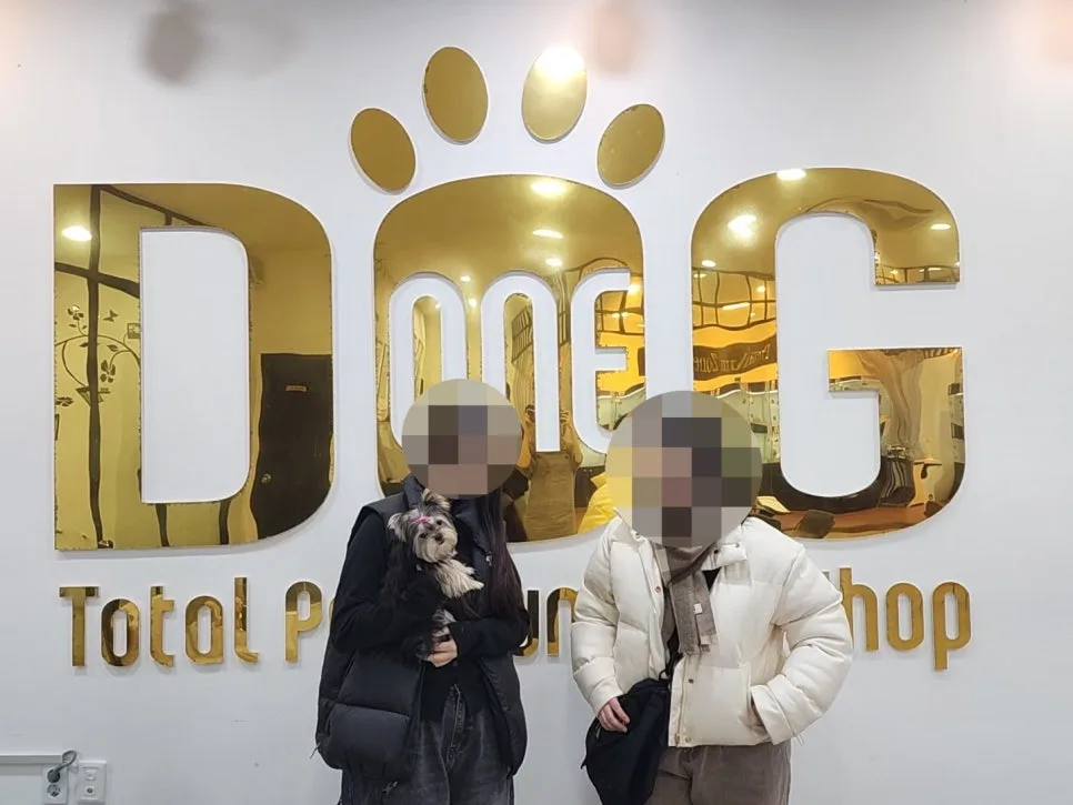 세종 애견분양 책임감 있는 입양 가이드 2026 2