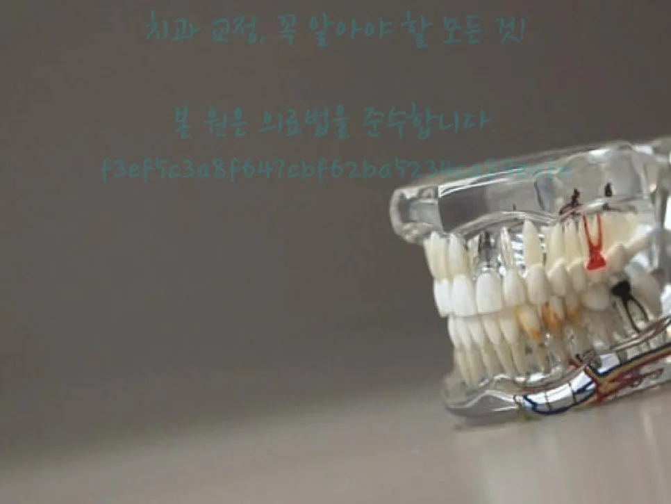 치아교정 효과와 유지관리 2026: 평생 건강 습관 만들기 3