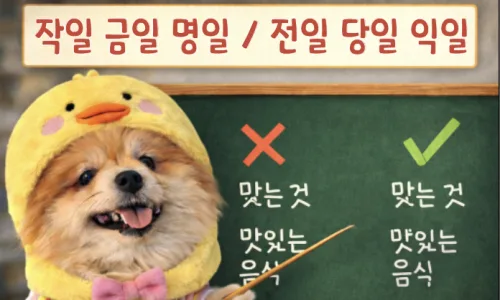 뒤통수 vs 뒷통수, 뭐가 맞는 말일까? 2026년 맞춤법 총정리 2